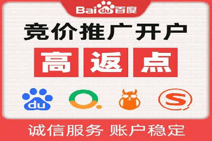 百度竞价排名服务：成功案例解析与优化策略